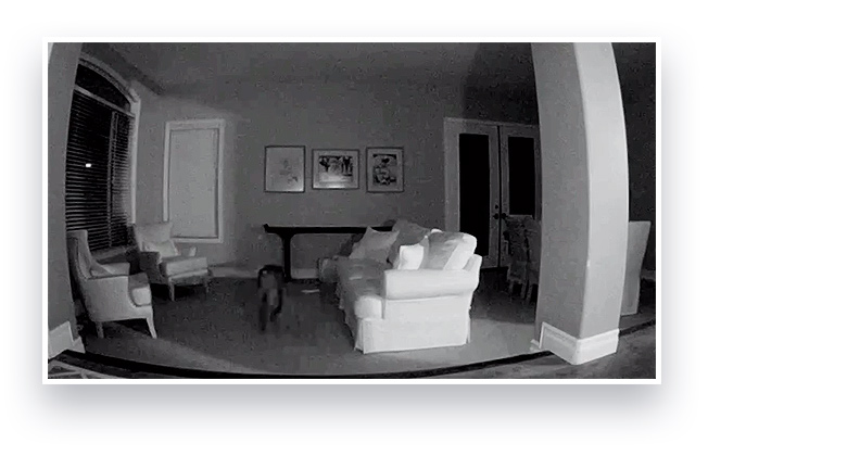 Security Camera with night vision