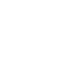iconLEDpoesvg100x100