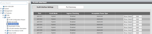 VLAN Interface