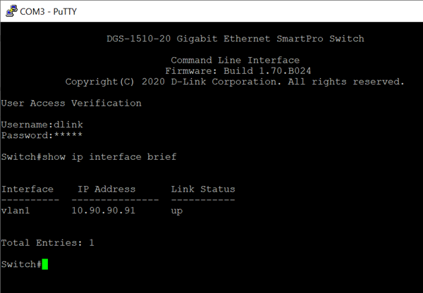 ip interface