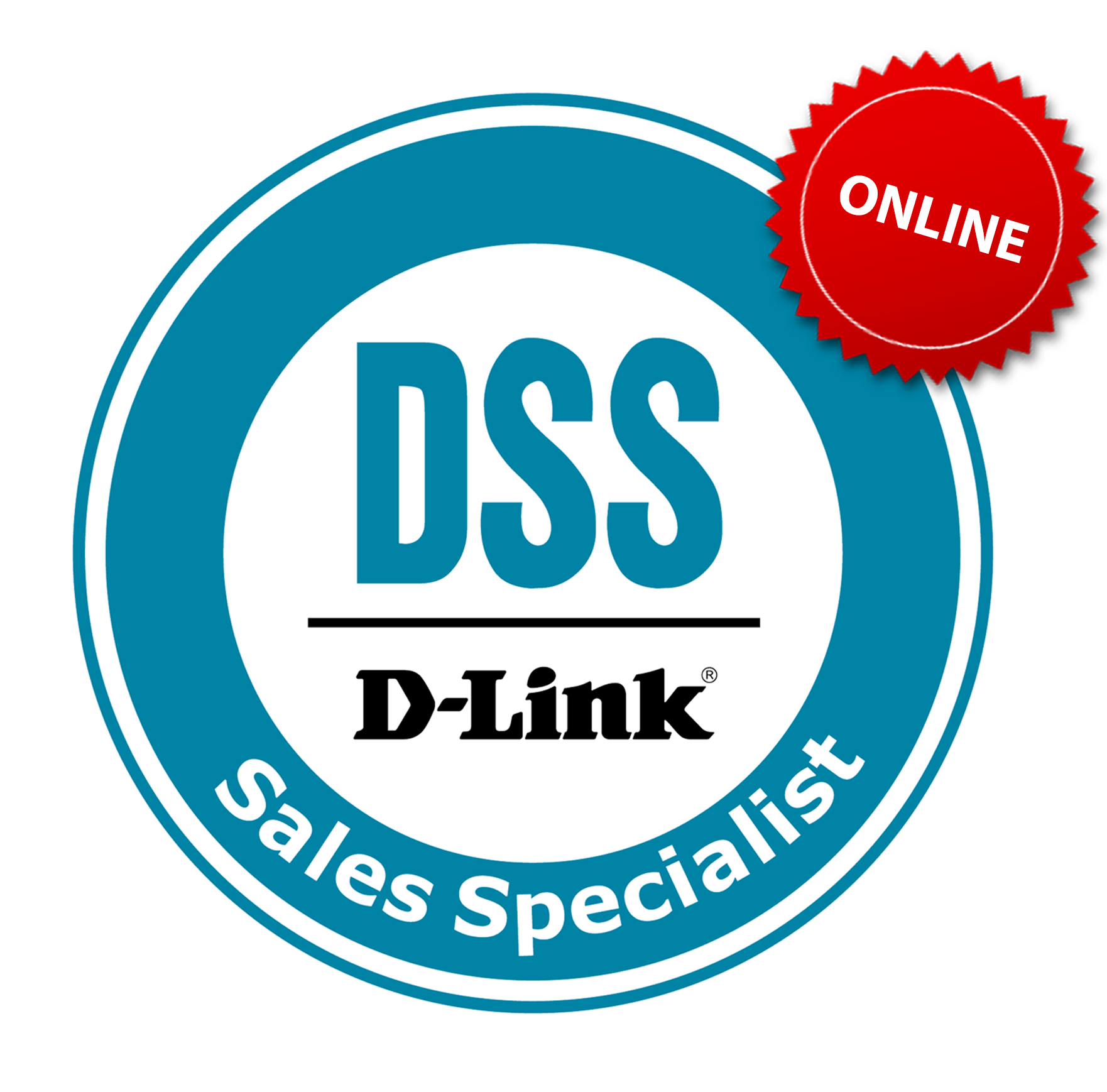 DSS_Online_IT