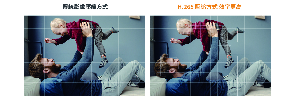 H265