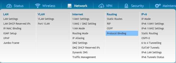 DSR_1000N_Firmware2xx_Como_configurar_Protocol_Bindings2